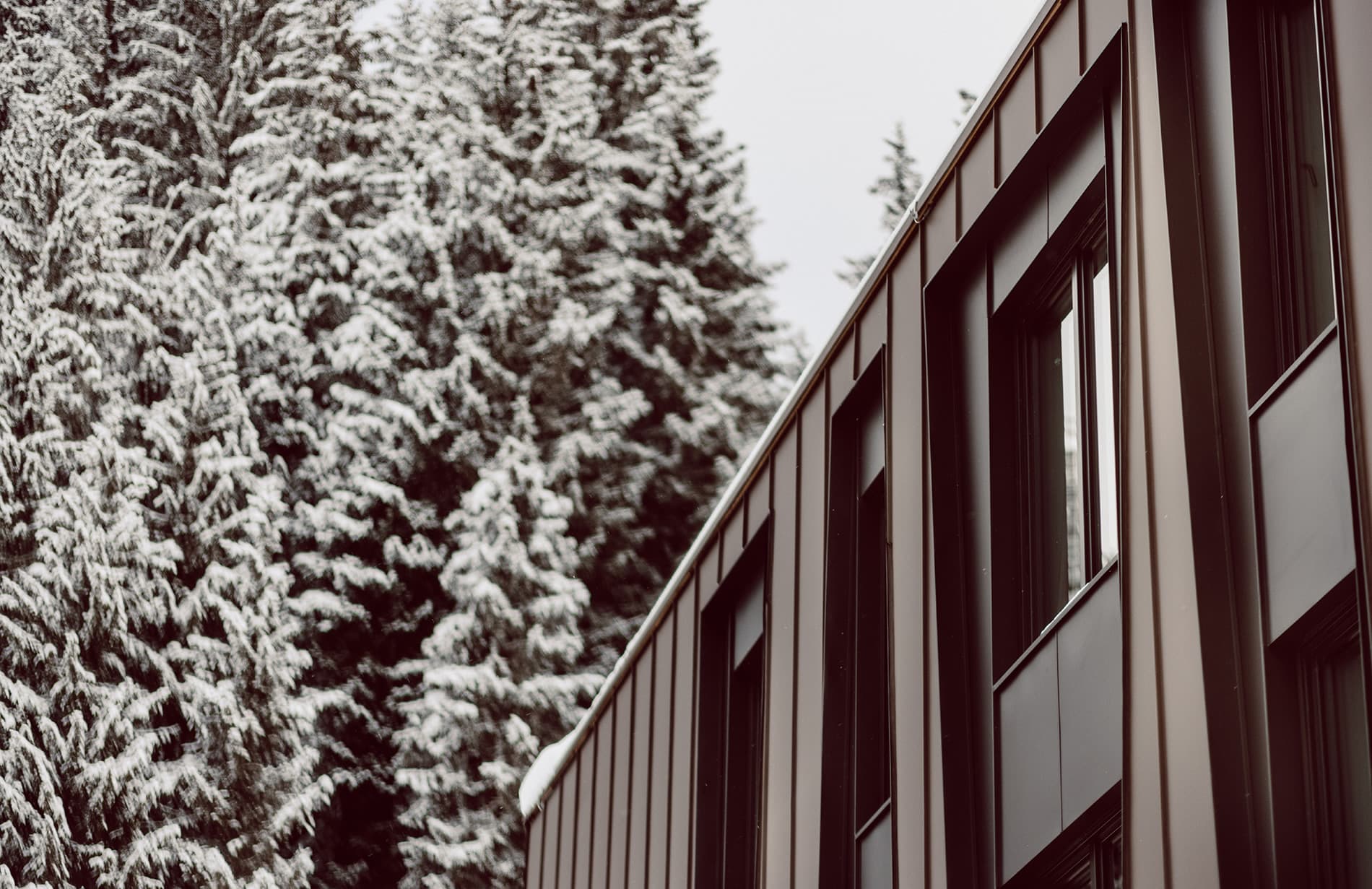 Winterurlaub im Aparthotel JoAnn direkt an der Skischule Kleinarl und am Lift