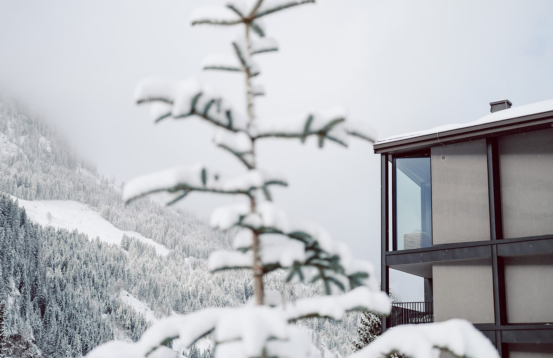Winterurlaub im Aparthotel JoAnn direkt an der Skischule Kleinarl und am Lift