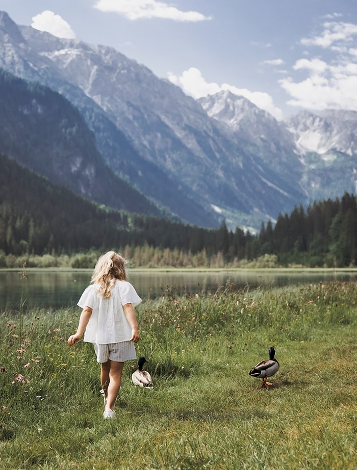 Herrliche Almwiese voller Margeriten in Kleinarl