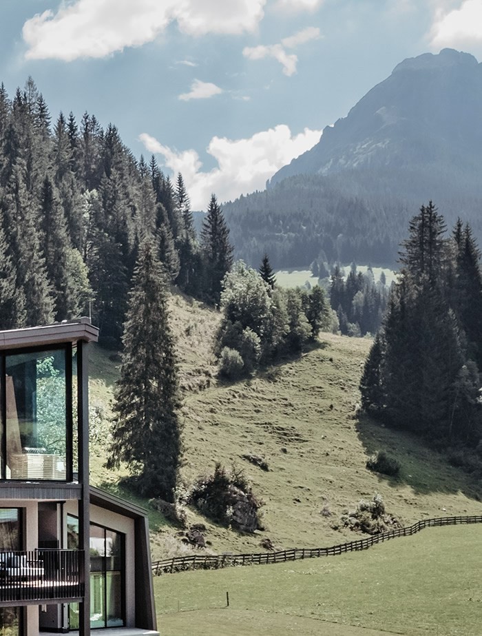 Wald, Wiesen und Almen rund um das Aparthotel
