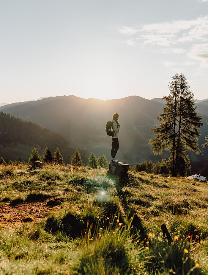 Wanderung in der Almregion rund um das Aparthotel JoAnn